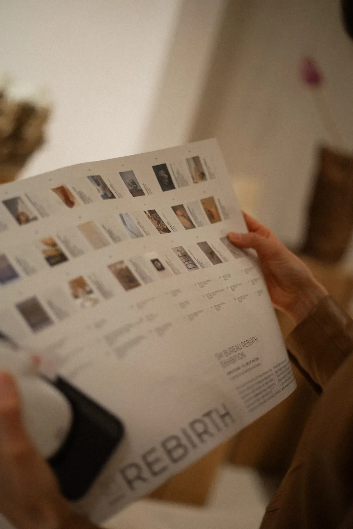 Opening of Rebirth Exhibition