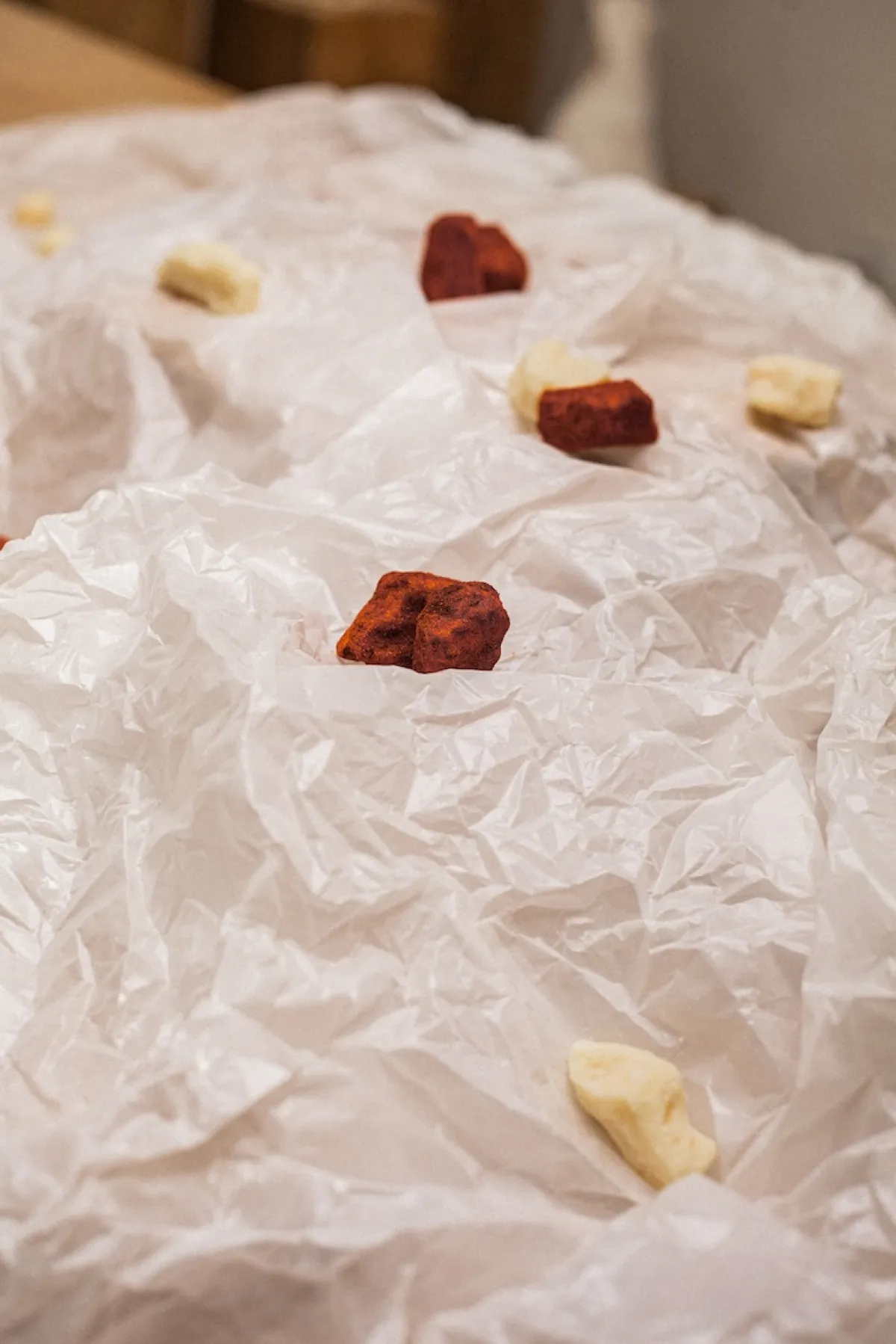 Opening of Rebirth Exhibition