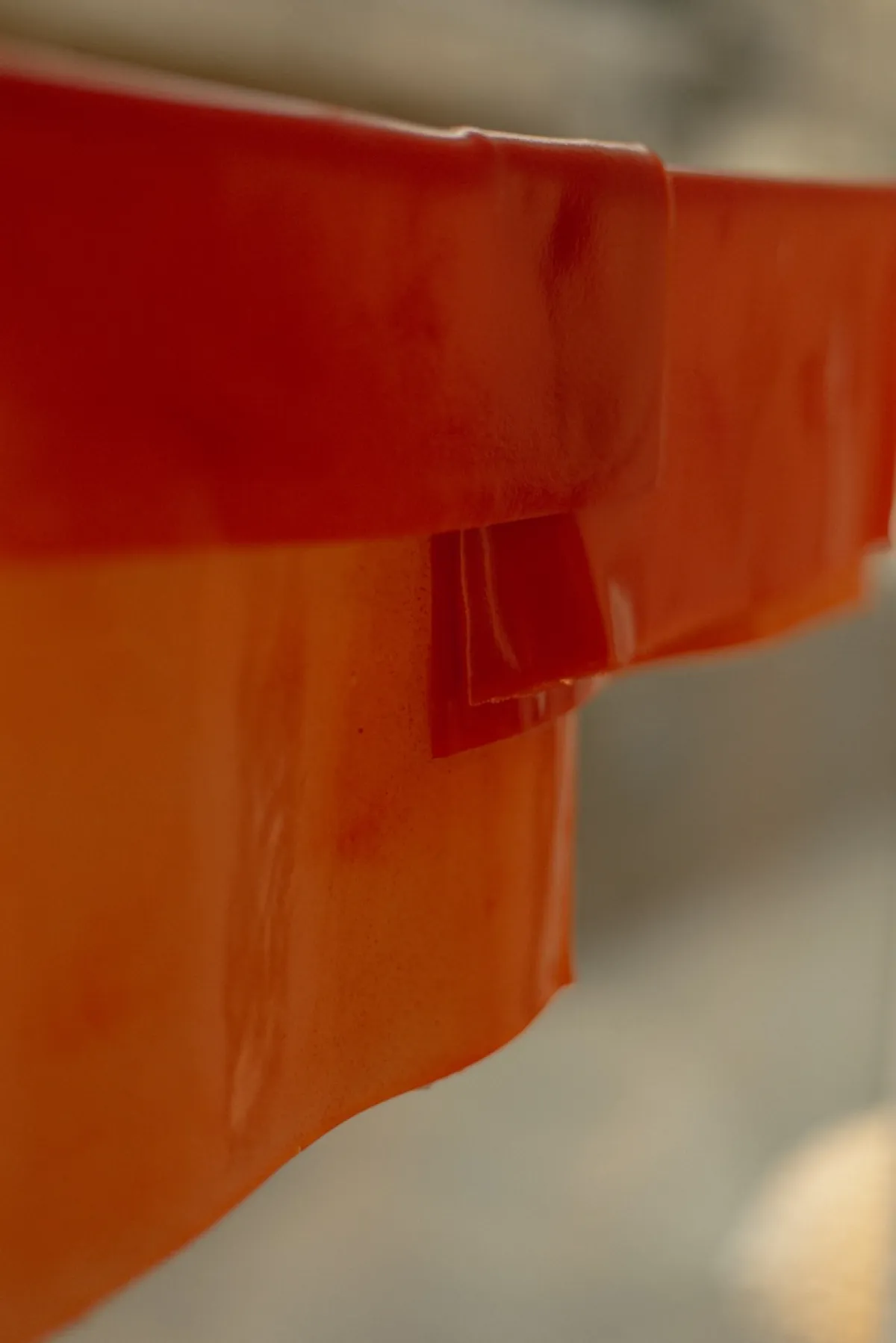 Opening of Rebirth Exhibition