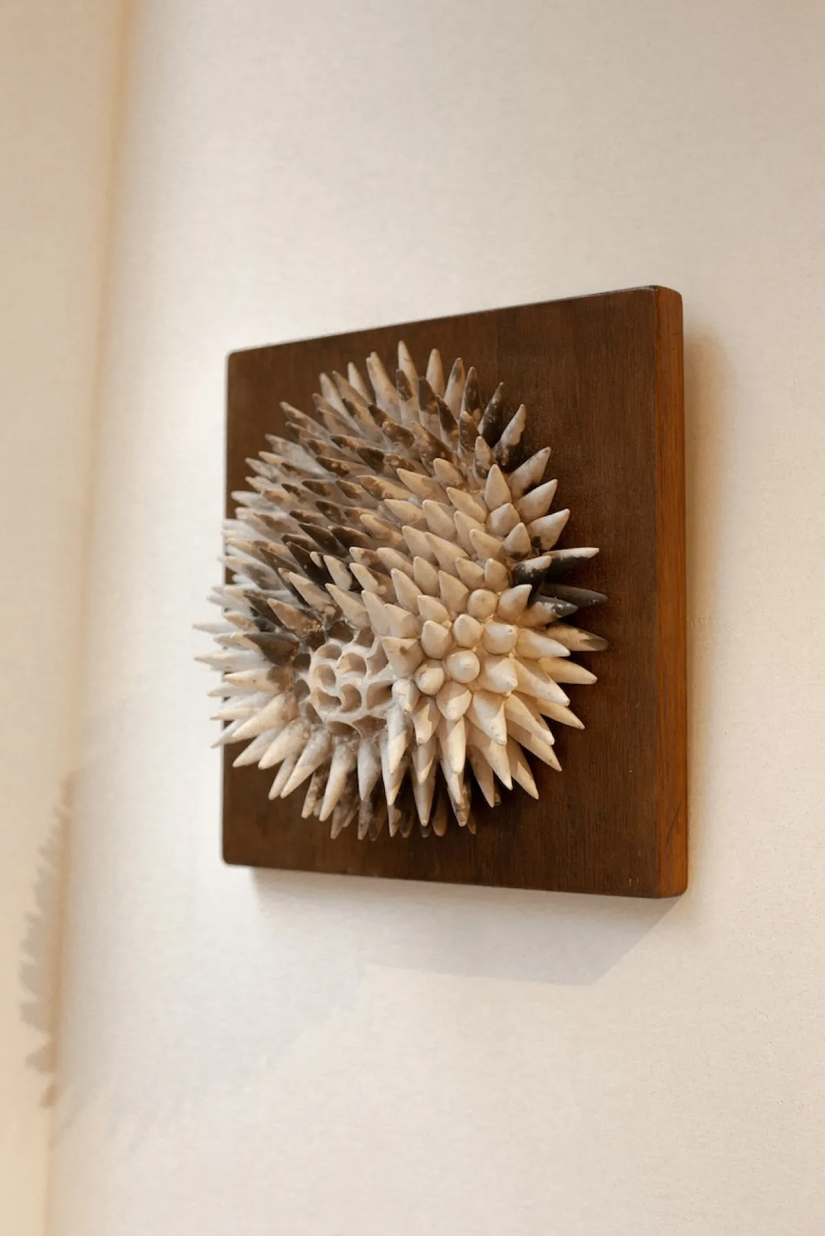 Rebirth - Spring exhibition at SM Bureau