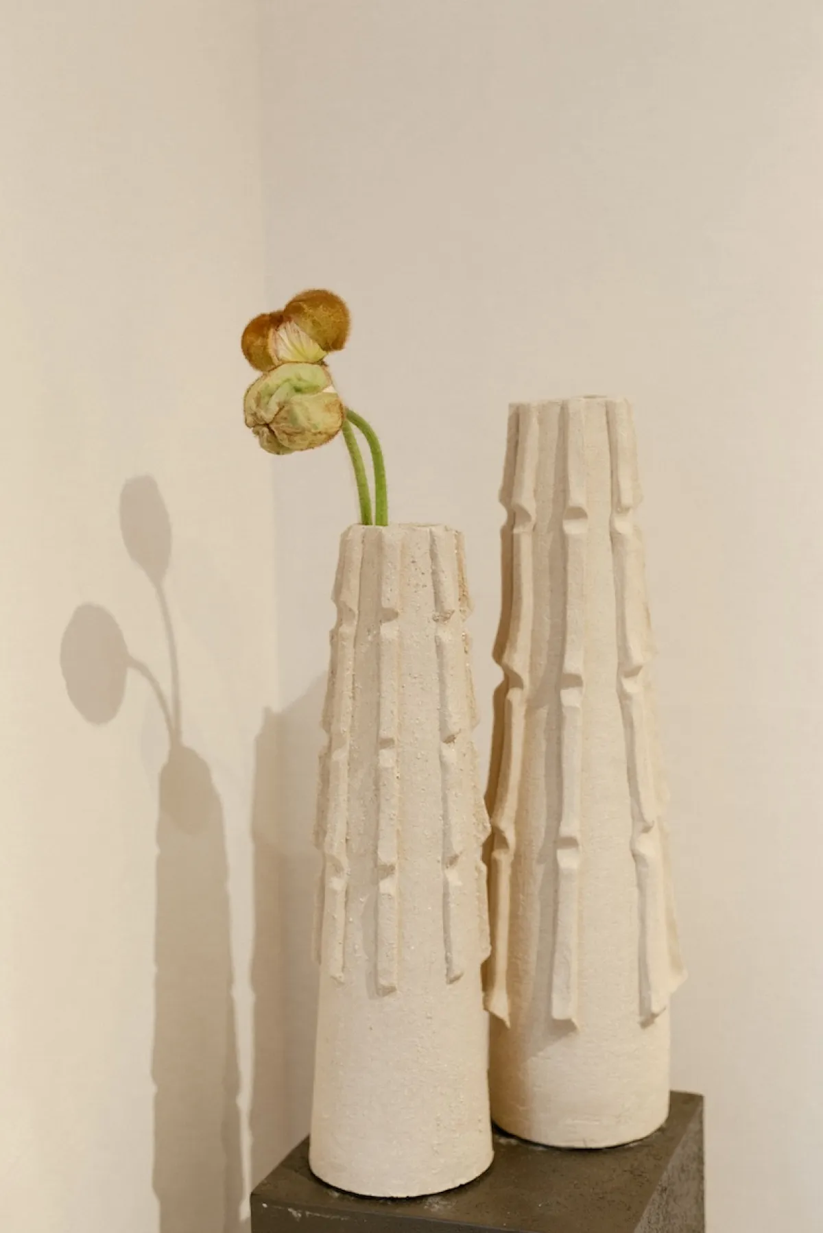 Rebirth - Spring exhibition at SM Bureau