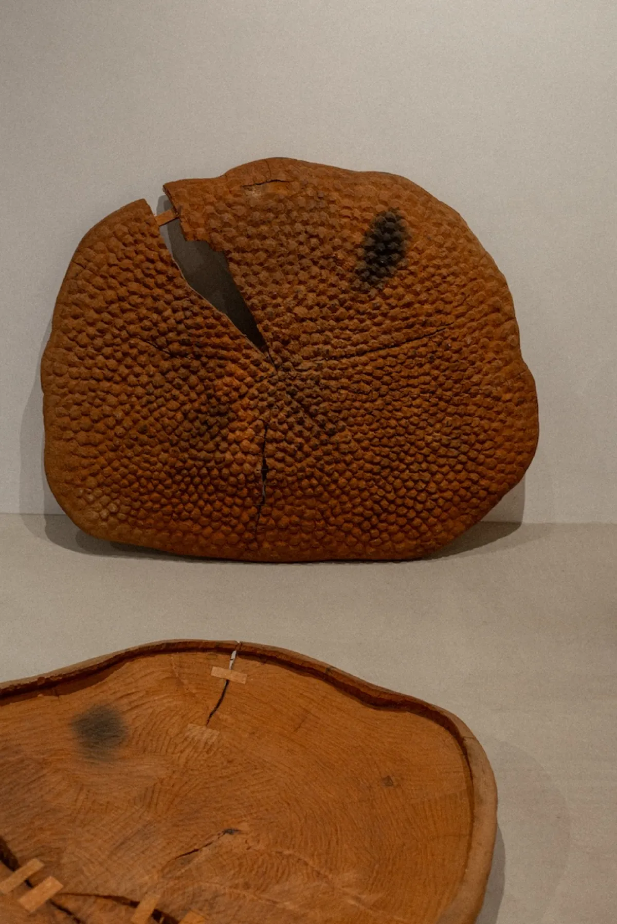 Rebirth - Spring exhibition at SM Bureau