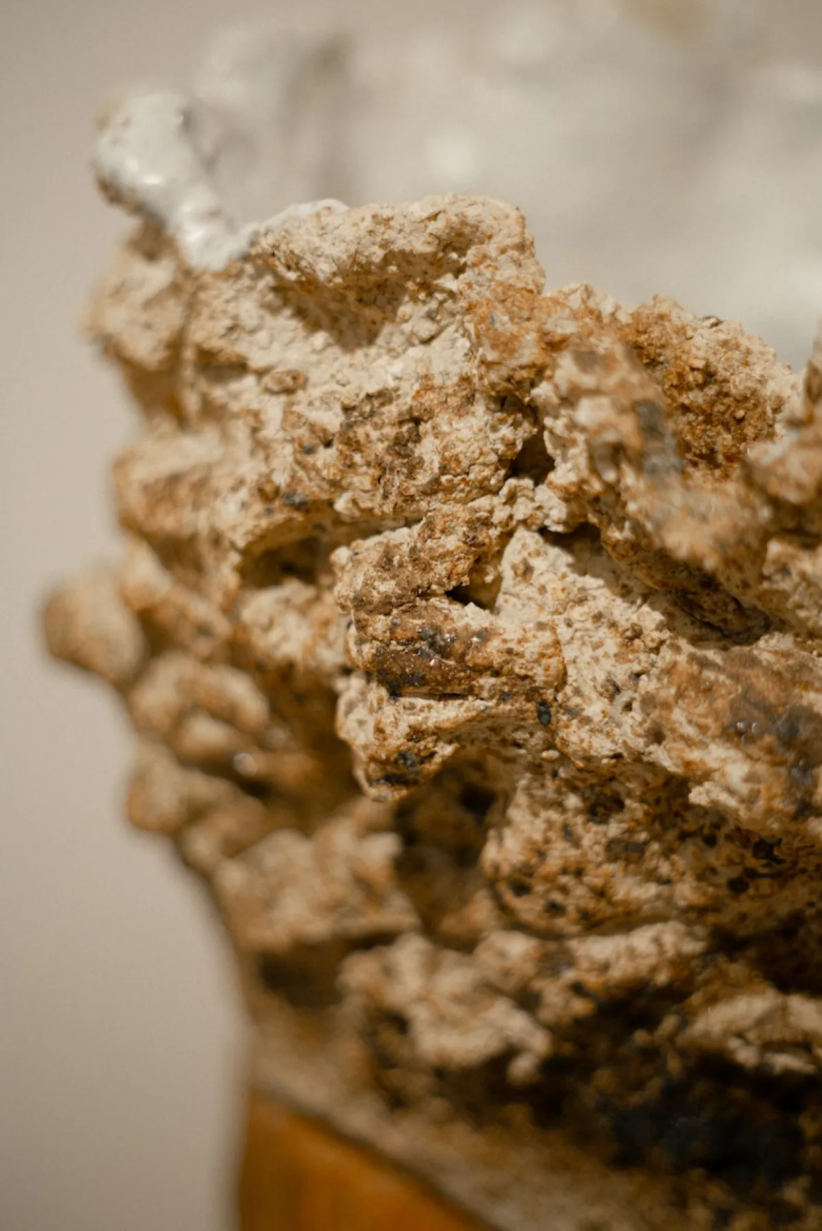 Rebirth - Spring exhibition at SM Bureau