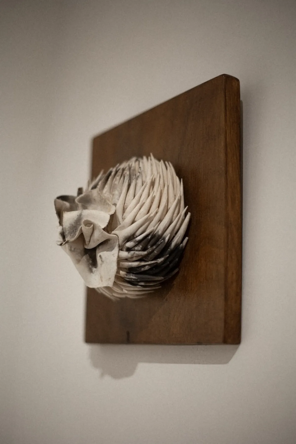 Rebirth - Spring exhibition at SM Bureau