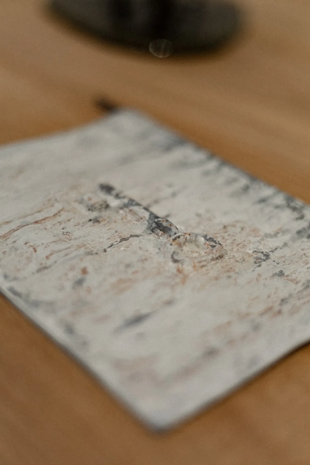 Rebirth - Spring exhibition at SM Bureau