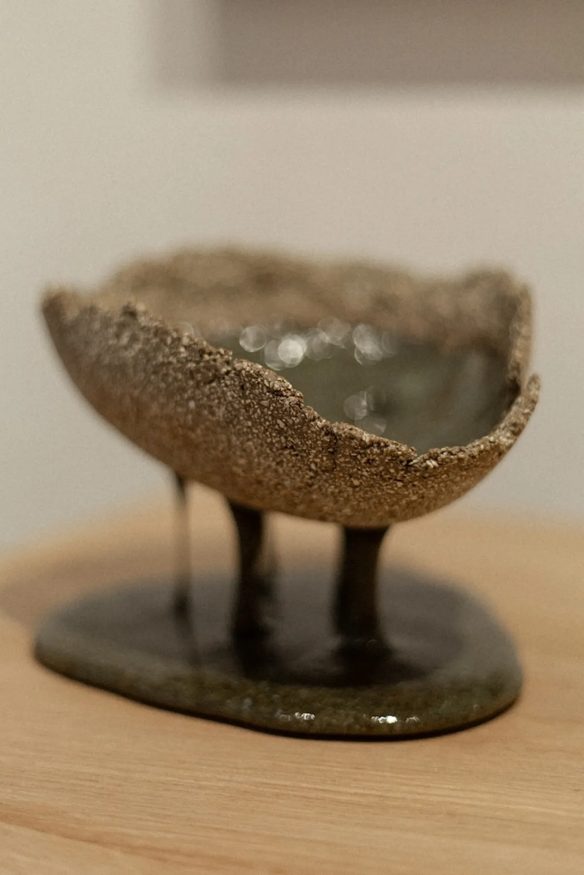 Rebirth - Spring exhibition at SM Bureau