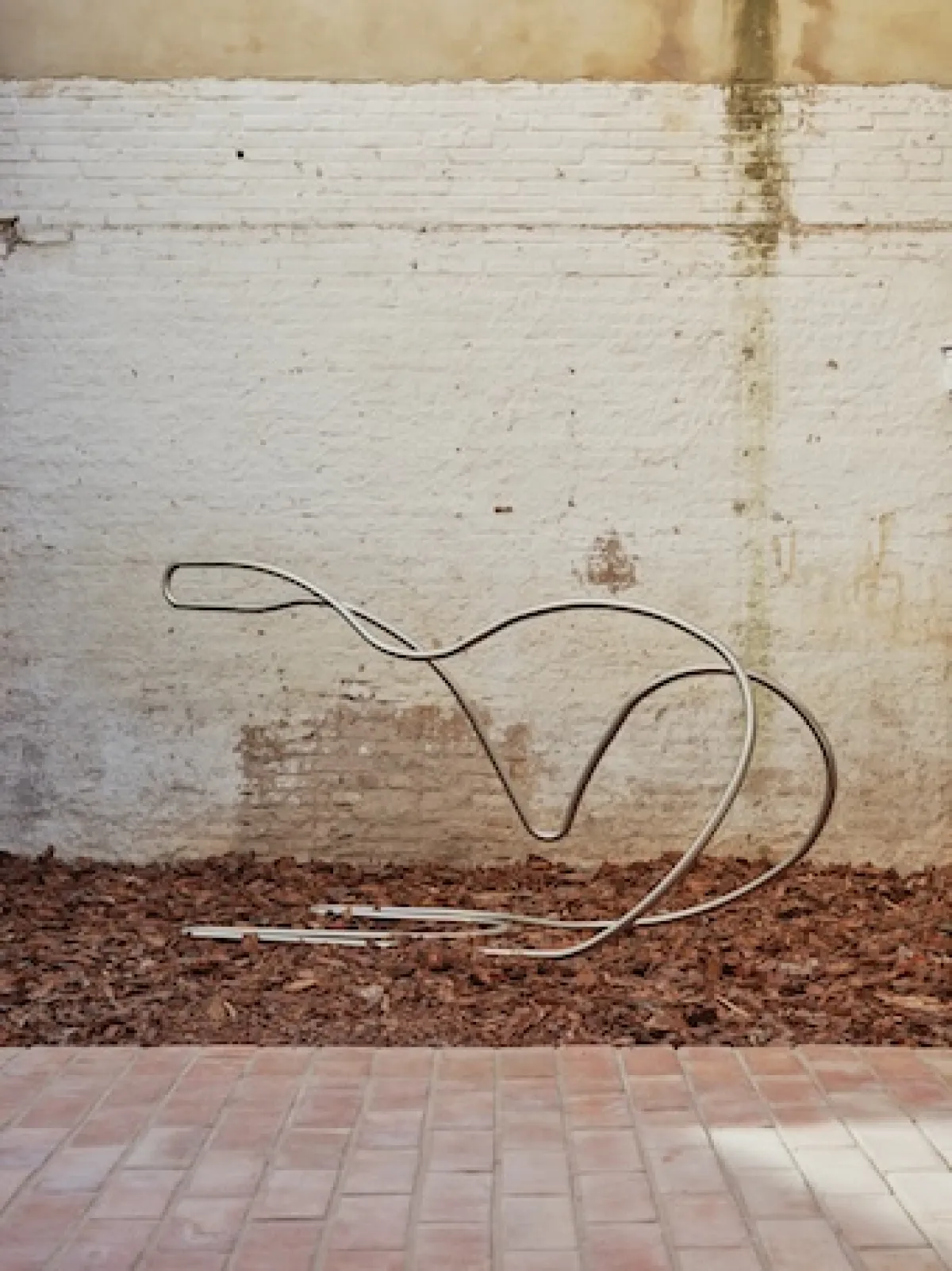 Vectors - Pop-up Exposition in Valencia