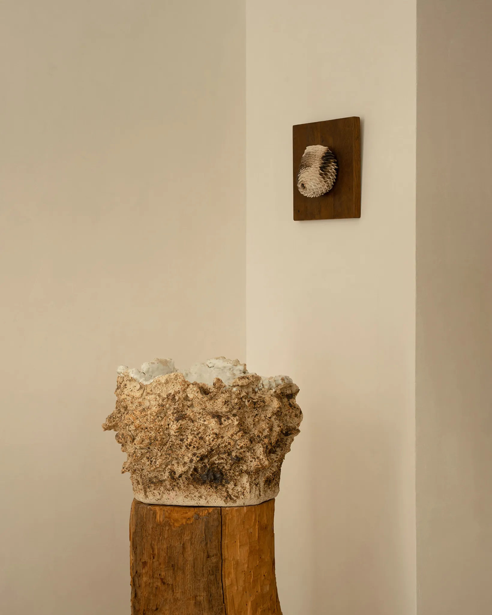 Purgation des passions. fig.1