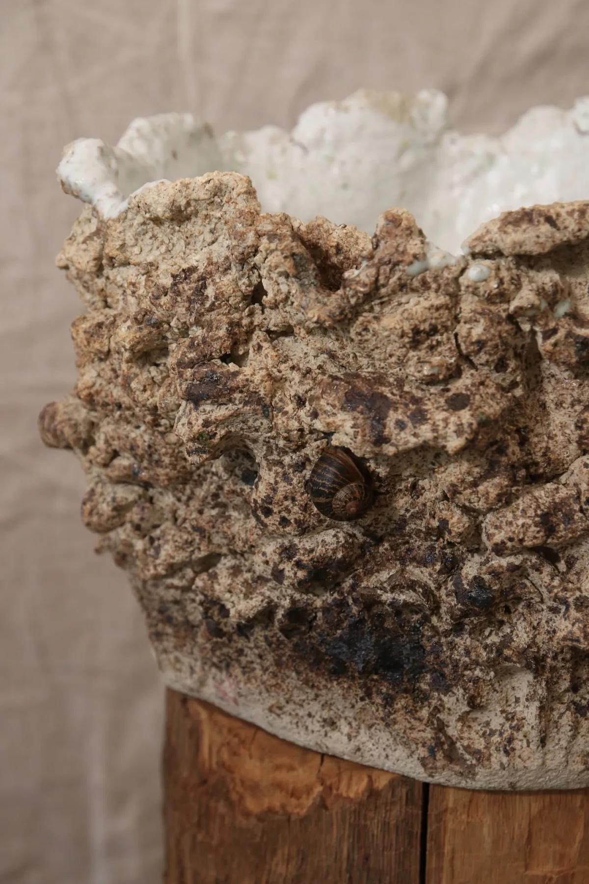 Purgation des passions. fig.1